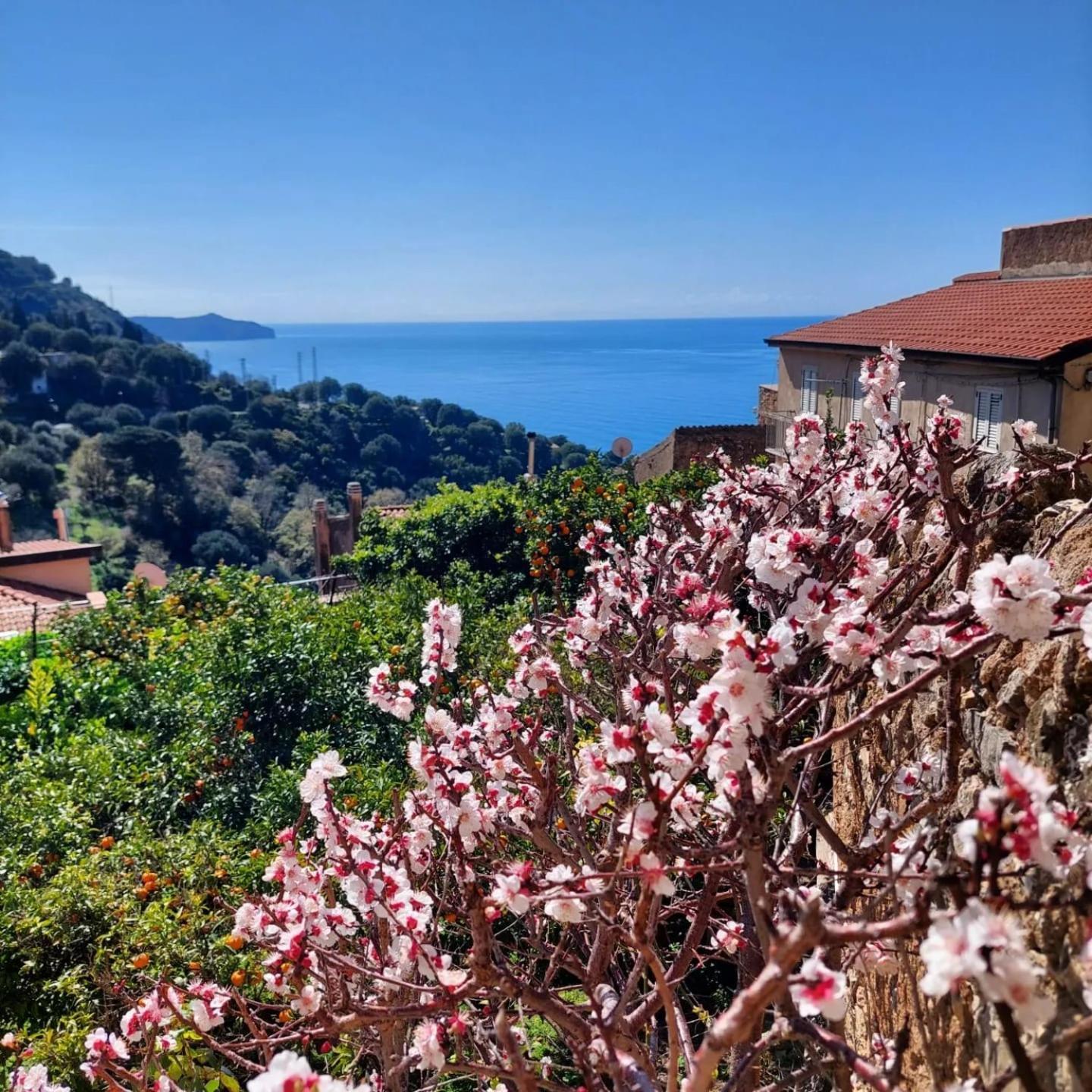 La Casa sul Blu Albergo Diffuso Pisciotta Exterior foto