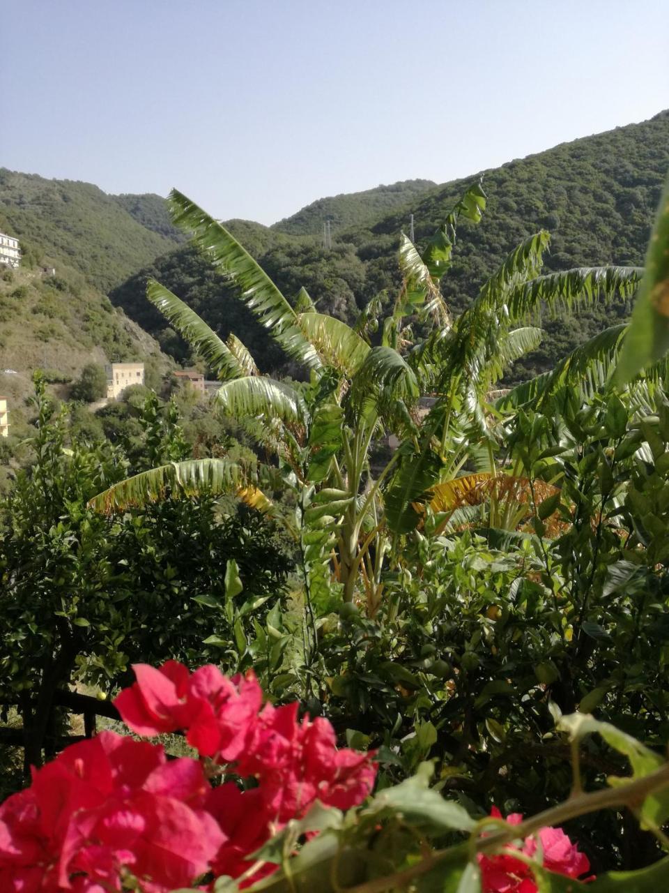 La Casa sul Blu Albergo Diffuso Pisciotta Exterior foto